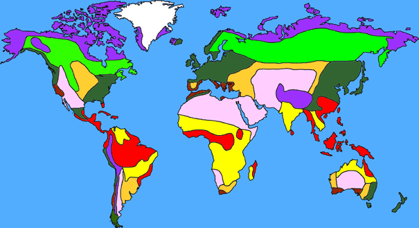 Pic Widget of Biome (5 pts)
